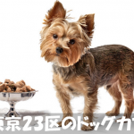 【犬がくつろげるカフェ】東京でオススメしたいお店10選